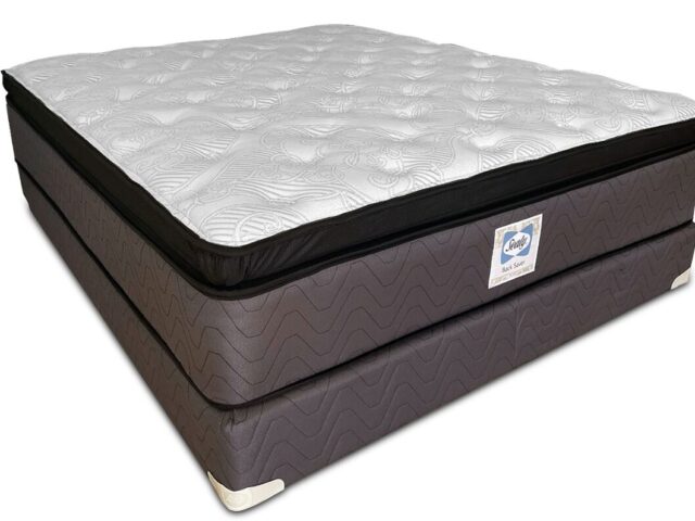 Sealy | Back Saver
